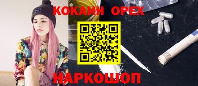apvp Кандалакша