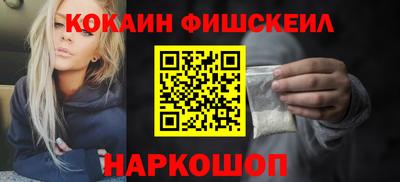 индика Камышлов