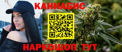 индика Камышлов