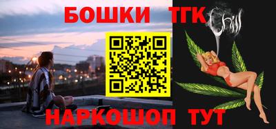 индика Камышлов