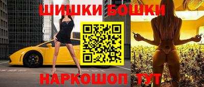 индика Камышлов