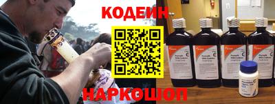 индика Камышлов