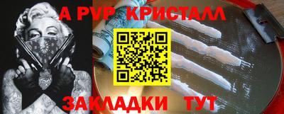 индика Камышлов
