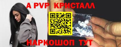 индика Камышлов