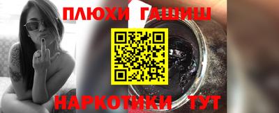 индика Камышлов