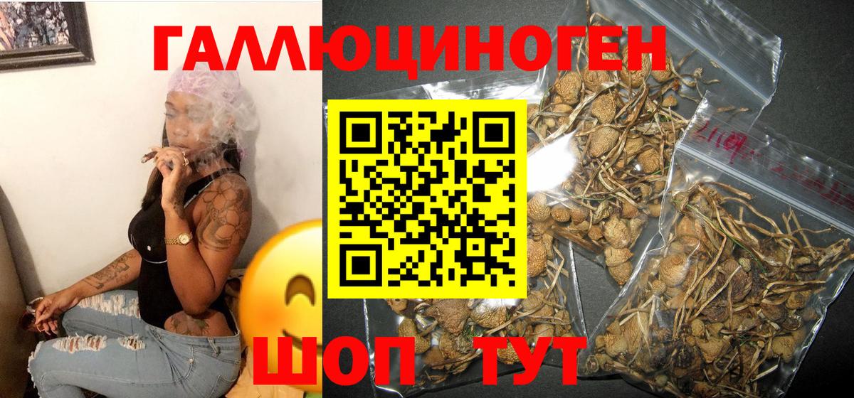 Гашиш Кропоткин