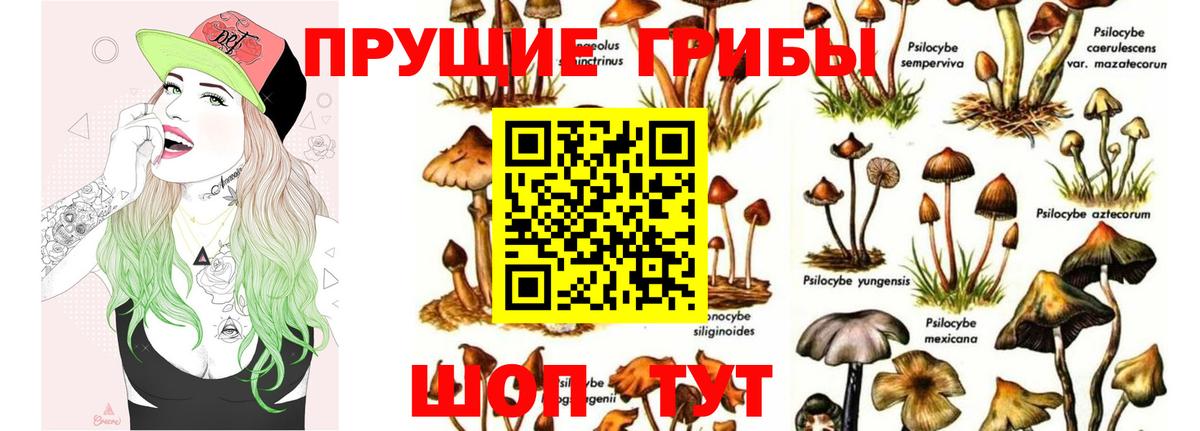 Кропоткин  Галлюциногенные грибы MAGIC MUSHROOMS  Галлюциногенные грибы Psilocybine cubensis  Вход с VPN 